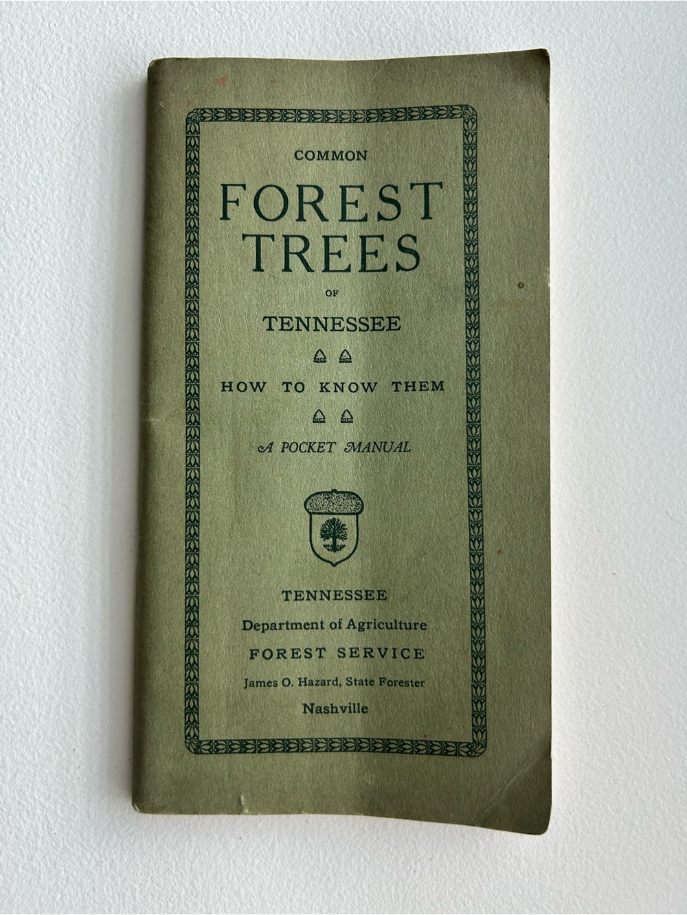1933 Vintage Common Forest Trees of Tennessee Book 8th Ed Botany Forestry Guide